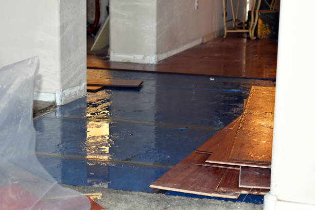 Professional Basement Flood Cleanup technician working in Weaverville, NC
